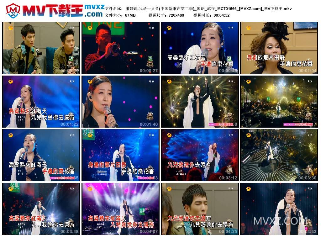 谢慧娴-我是一只鱼(中国新歌声第二季)_国语_流行_MC701666